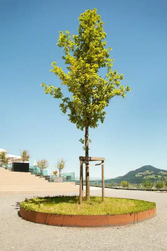 bordure en acier corten pour l'aménagement de jardin