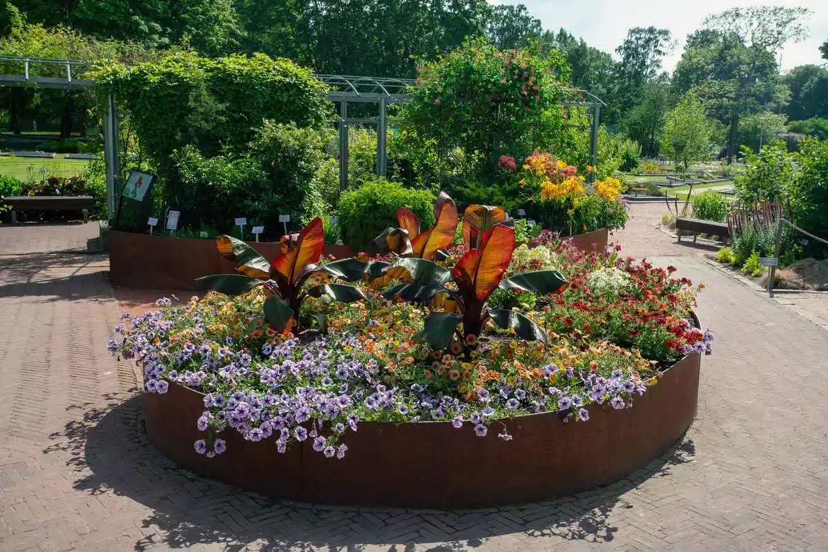 bordure en acier corten pour l'aménagement de jardin