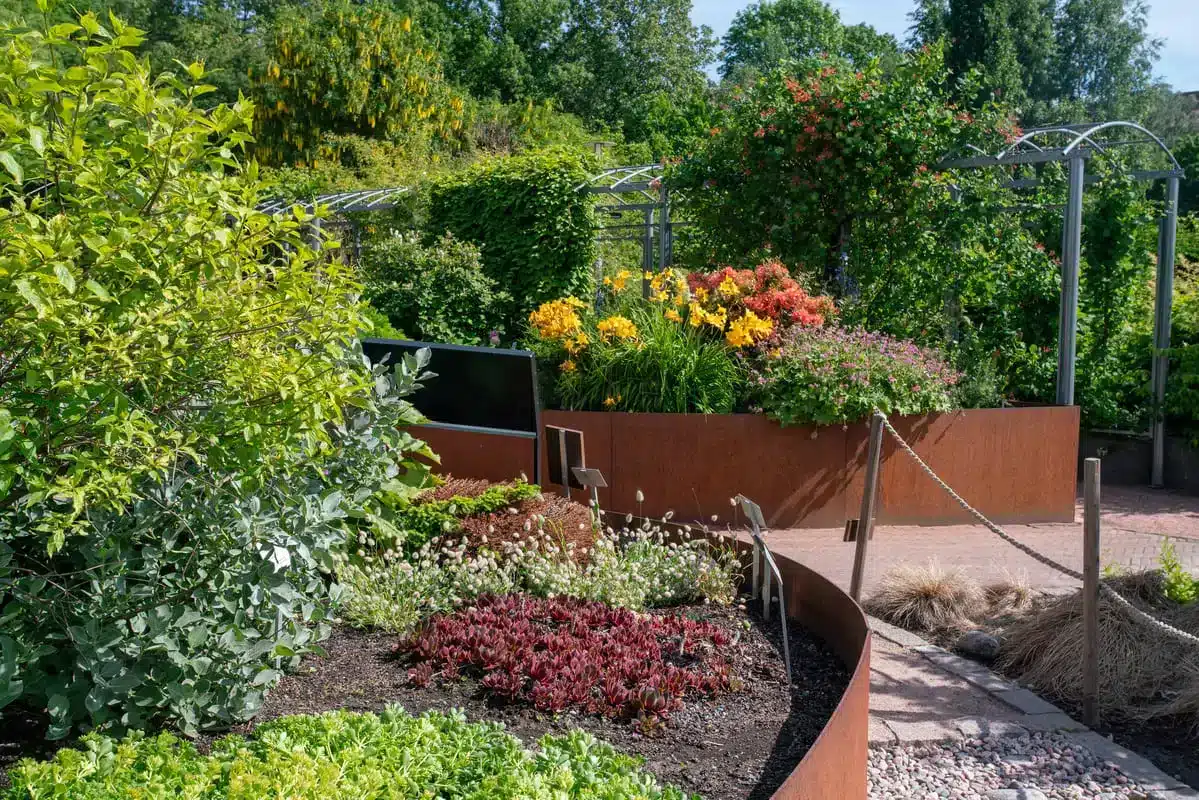 bordure en acier corten pour l'aménagement de jardin