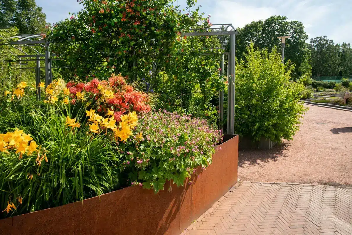 bordure en acier corten pour l'aménagement de jardin