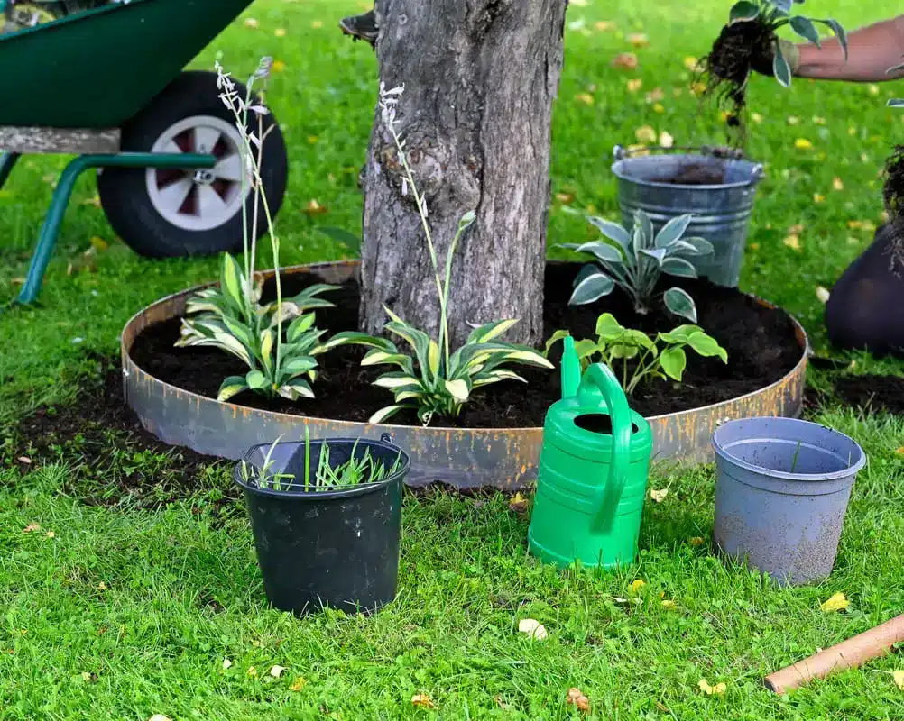 bordure en acier corten pour l'aménagement de jardin