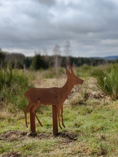 la-promenade-du-bois-de-fays-une-activite-familiale-grace-a-l-acier-corten