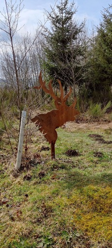 la-promenade-du-bois-de-fays-une-activite-familiale-grace-a-l-acier-corten