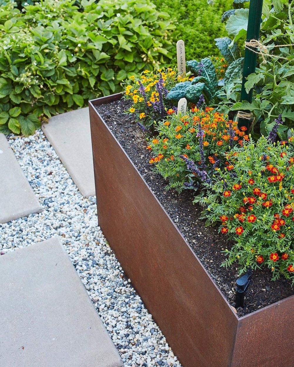 potager acier corten 15